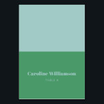 Bold Name Light Blue Green Custom Place Card<br><div class="desc">Bold Light Blue and Kelly Green Typography Custom Table Place Card</div>