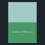 Bold Name Light Blue Green Custom Place Card<br><div class="desc">Bold Light Blue and Kelly Green Typography Custom Table Place Card</div>