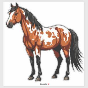 Bold Paint Horse