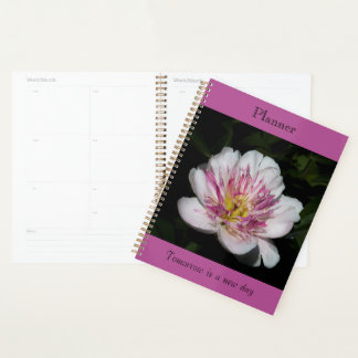Bold Peony Planner