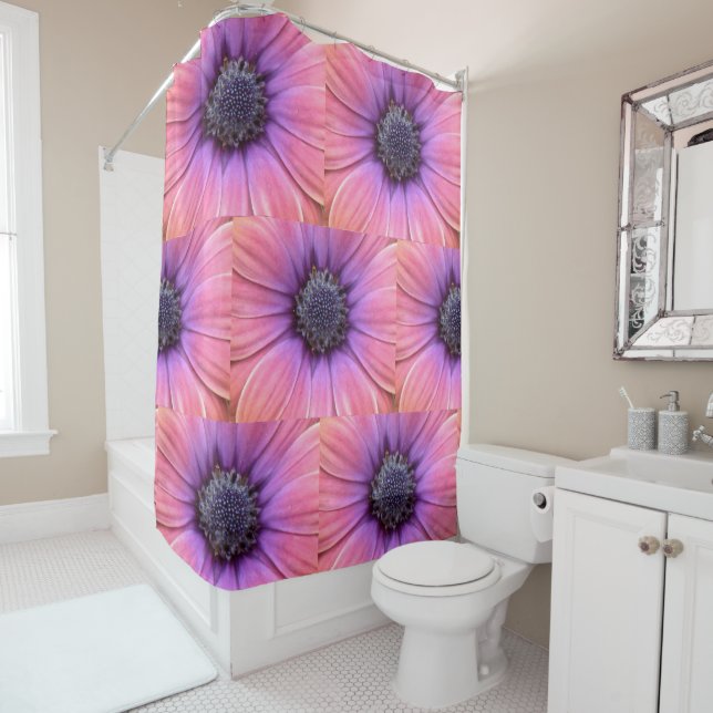 Bold Pink and Orange Daisies (In Situ)