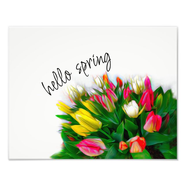 bold red and yellow tulips hello spring custom photo print (Front)