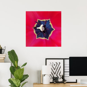 Bold Red Tulip Flower Macro Nature Photography Poster