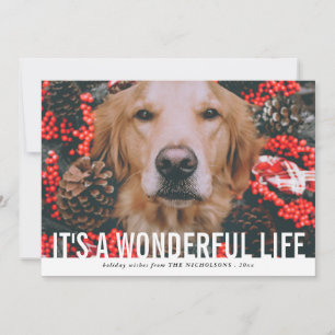 Bold Script Its A Wonderful Life   Holiday Photo