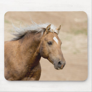 Bolder Runs Mounsepad from Save Wild Horses Mouse Pad