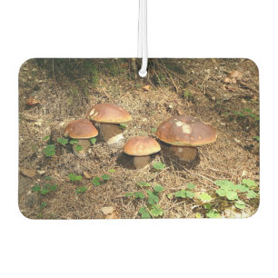 boletus air freshener