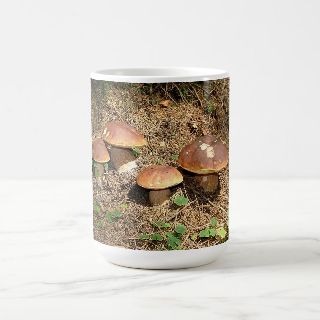 boletus coffee mug (Center)