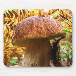 BOLETUS EDULIS MOUSE PAD