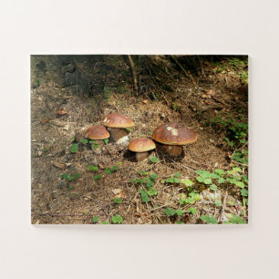 boletus jigsaw puzzle