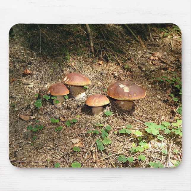 boletus mouse pad (Front)