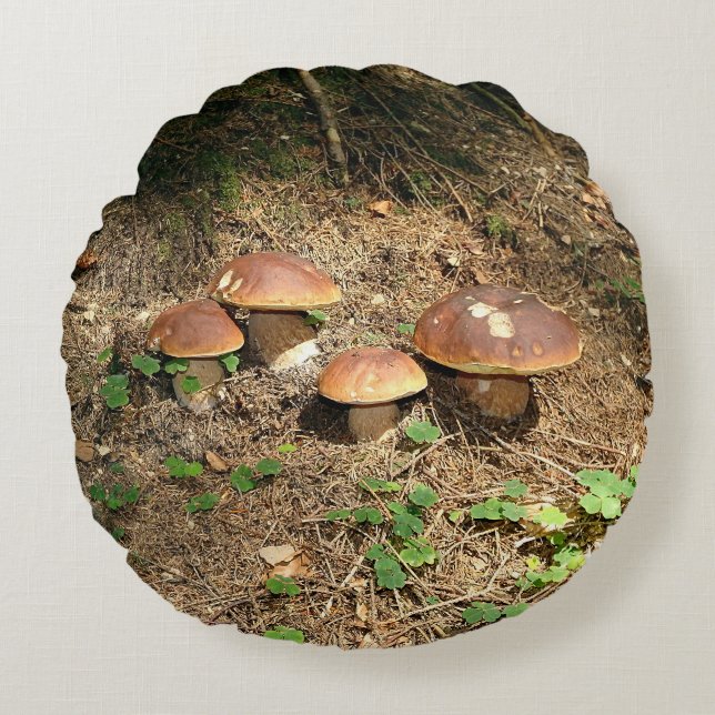 boletus round pillow (Front)