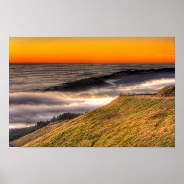 Bolinas Fog Poster (Front)