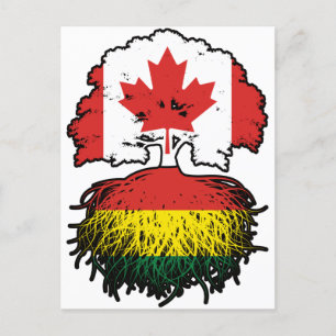 Bolivia Bolivian Canadian Canada Tree Roots Flag Postcard