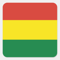 Bolivia (Bolivian) Flag