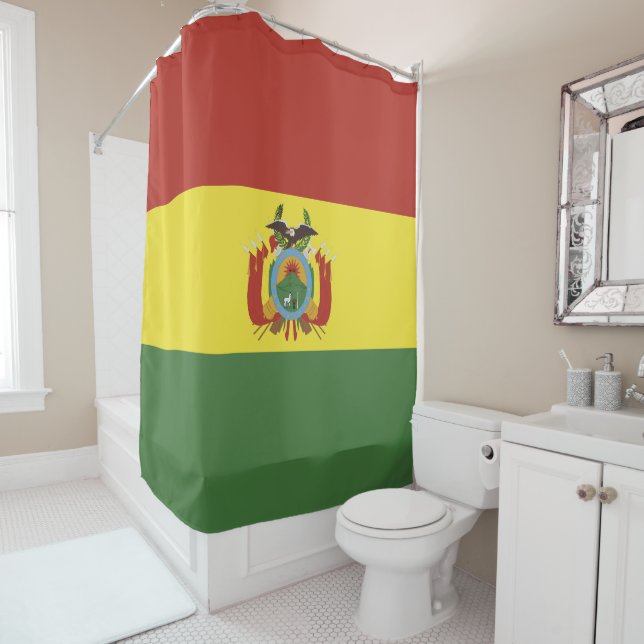 Bolivia flag (In Situ)