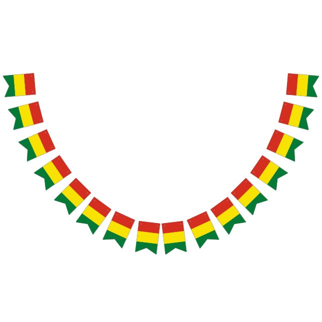 Bolivia flag bunting banner (All)