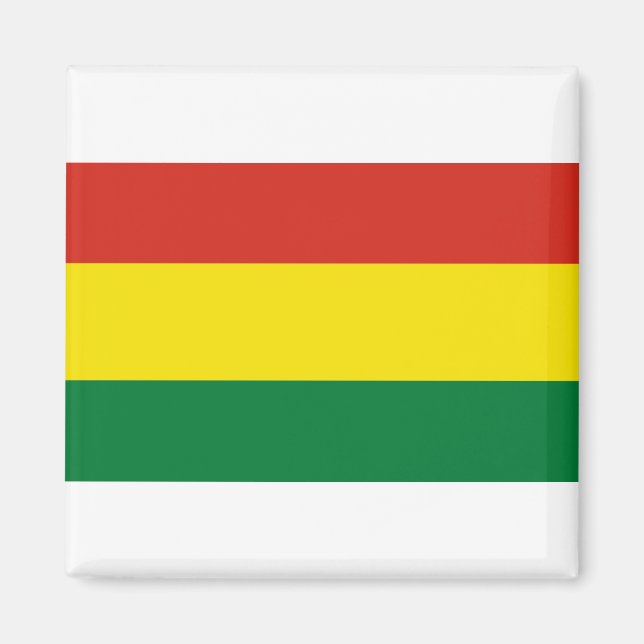 Bolivia Flag Magnet (Front)