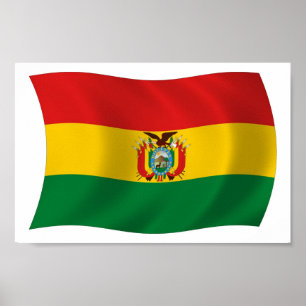 Bolivia Flag Poster Print