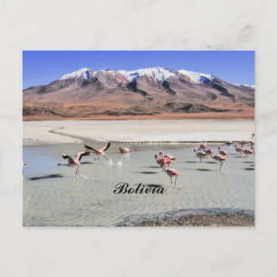 Bolivia landscape photograph with flamingos postcard