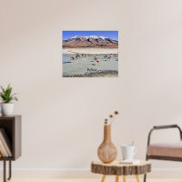 Bolivia scenic landscape