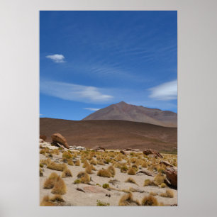 Bolivian Altiplano Desert Landscape Poster