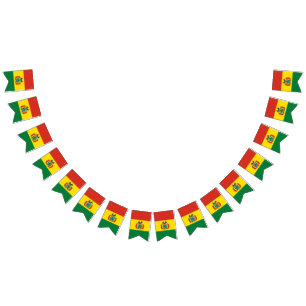 Bolivian Flag