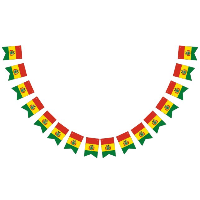 Bolivian Flag (All)