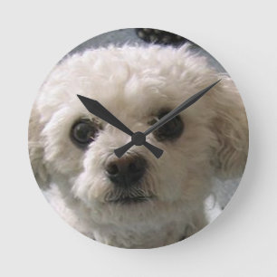 bolognese round clock
