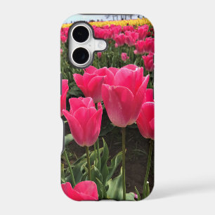 Bolray Price Tulips, Oregon