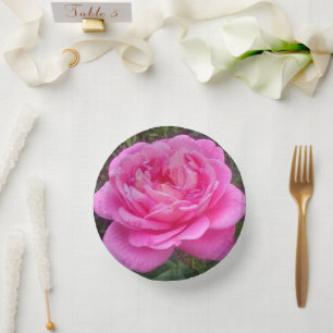 Bols En Carton Rose romantique 'Léonard de Vinci'