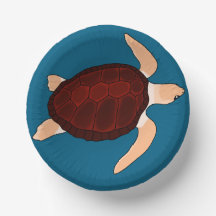 Tortue marine caouanne