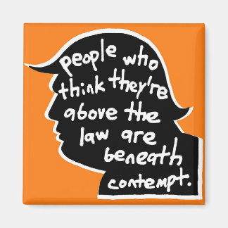 Bombastus Above The Law Magnet