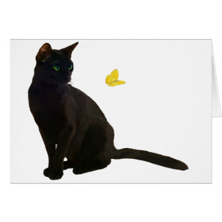 Bombay Cat & Butterfly