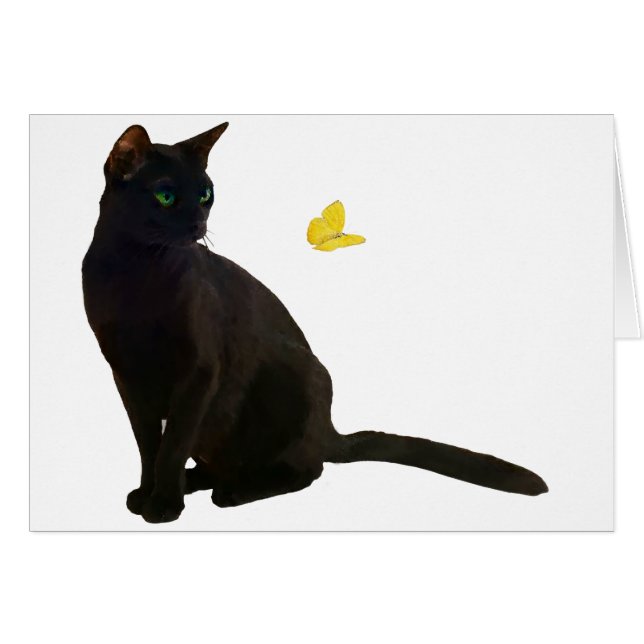 Bombay Cat & Papillon (Devant horizontal)
