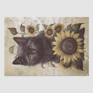 Bombay Kitten Sunflower Cat Tissue Paper