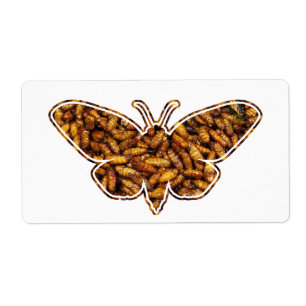 Bombyx Mori Silk Moth Cycle de vie Silhouette