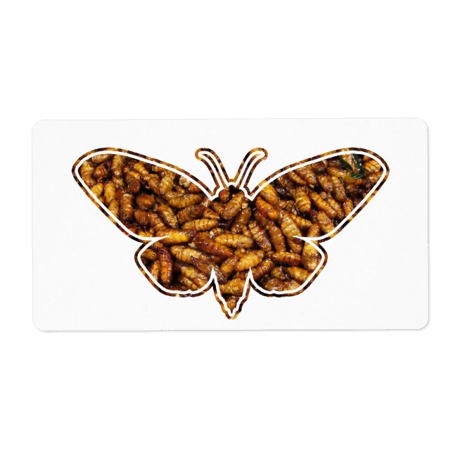 Bombyx Mori Silk Moth Life Cycle Silhouette (Front)