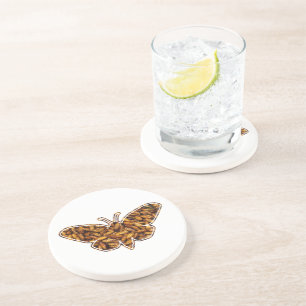 Bombyx Mori Silk Moth Life Cycle Silhouette Coaster