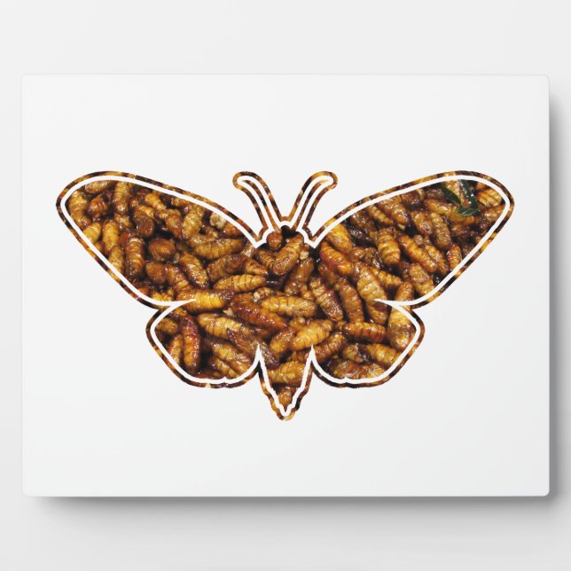 Bombyx Mori Silk Moth Life Cycle Silhouette Plaque (Front)