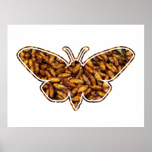 Bombyx Mori Silk Moth Life Cycle Silhouette Poster