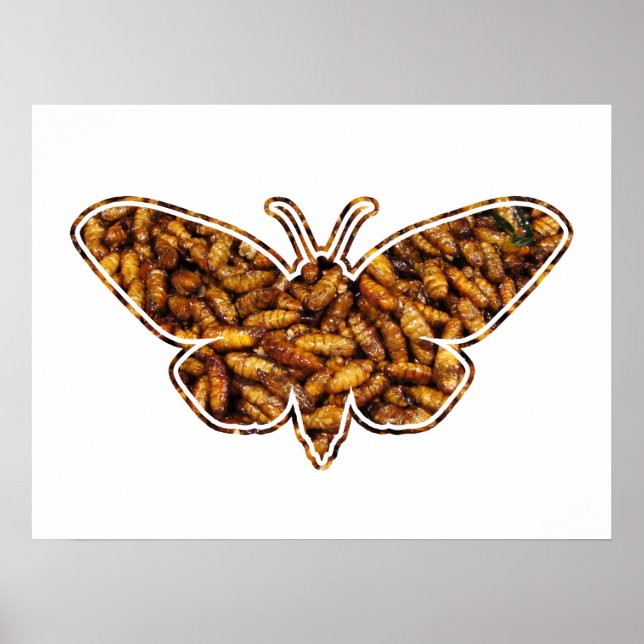 Bombyx Mori Silk Moth Life Cycle Silhouette Poster (Front)