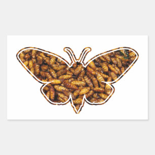 Bombyx Mori Silk Moth Life Cycle Silhouette Sticker