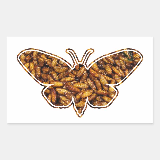 Bombyx Mori Silk Moth Life Cycle Silhouette Sticker (Front)