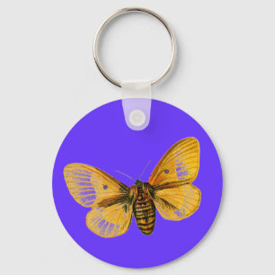 Bombyx quercus female keychain