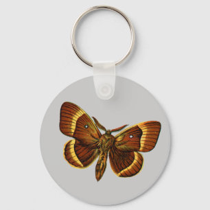 Bombyx quercus male keychain