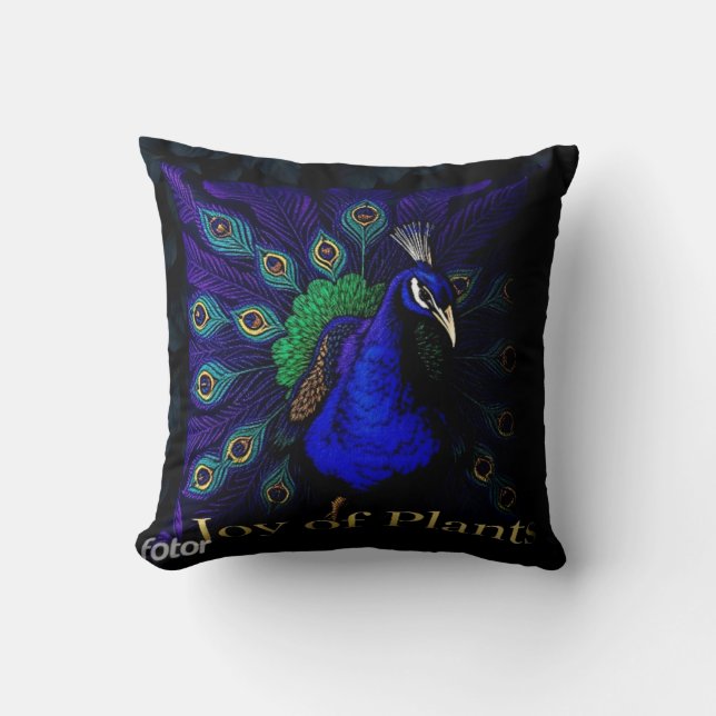 Bon coussin (Recto)