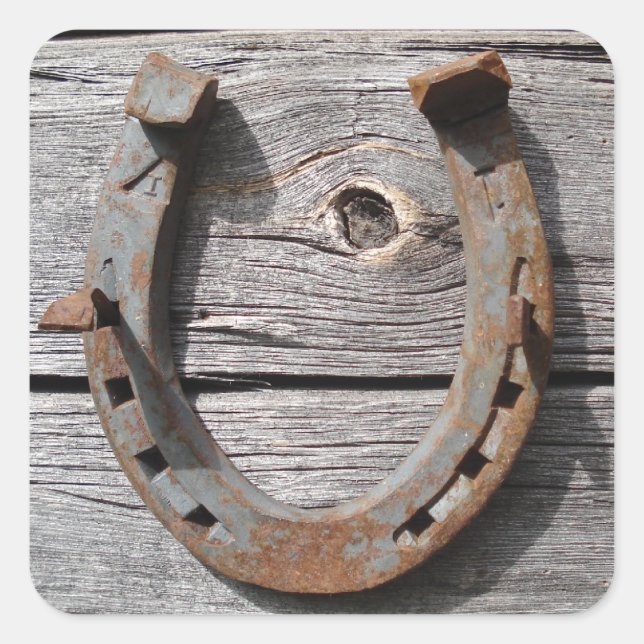 Bon fer à cheval de chance sur Stickers de clôture (Devant)