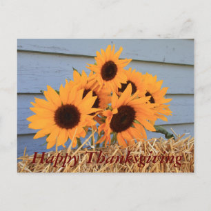 Bon thanksgiving de carte postale - tournesols et