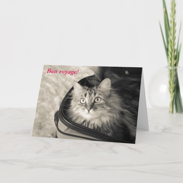 Bon voyage card with cat. (Front)