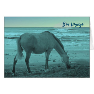 Bon Voyage Horse Près Du Lac Michigan
